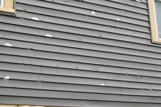 Best Historical Building Siding Restoration  in Fulshear, TX